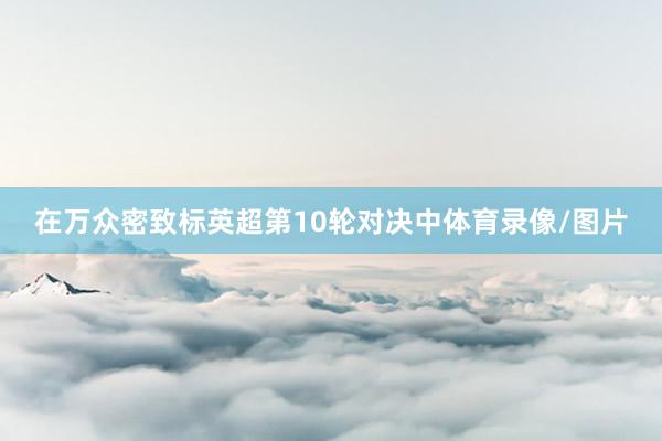在万众密致标英超第10轮对决中体育录像/图片