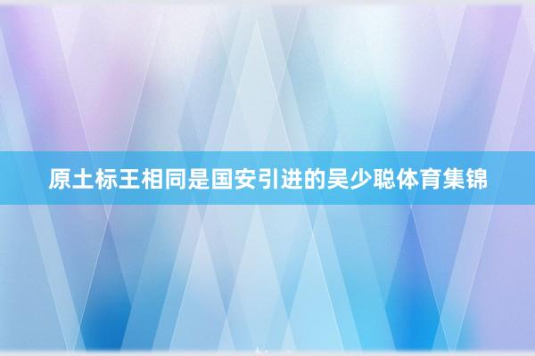 原土标王相同是国安引进的吴少聪体育集锦