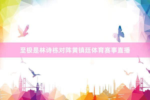 至极是林诗栋对阵黄镇廷体育赛事直播